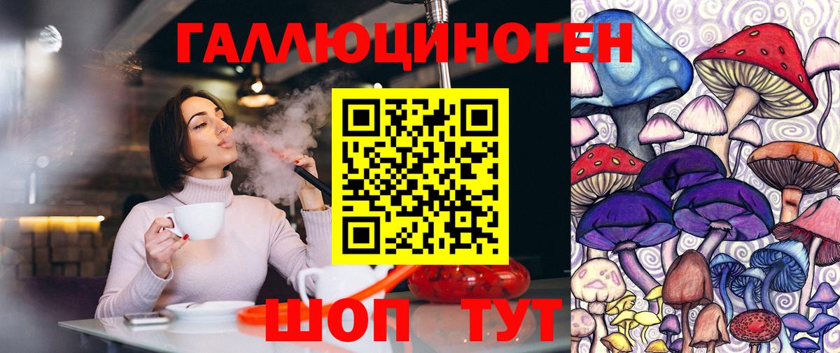 Псилоцибиновые грибы Psilocybine cubensis Камышин
