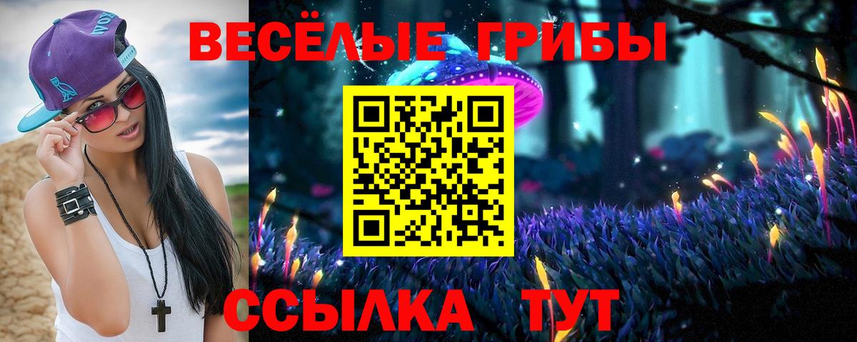 Камышин  цена   Вход с VPN  Галлюциногенные грибы MAGIC MUSHROOMS 